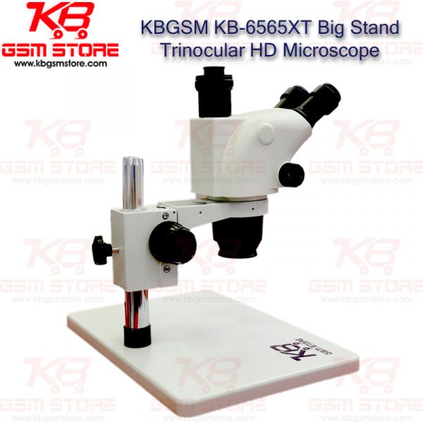 KBGSM KB-6565XT Big